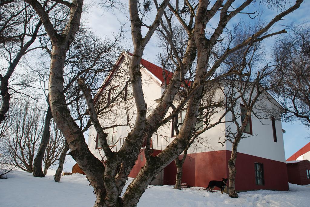 Helluland Guesthouse Saudarkrokur Exterior photo